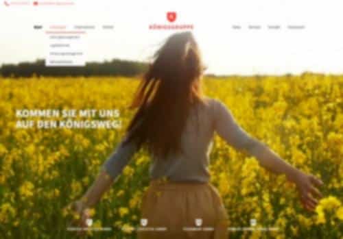 koenigsgruppe multisite screen